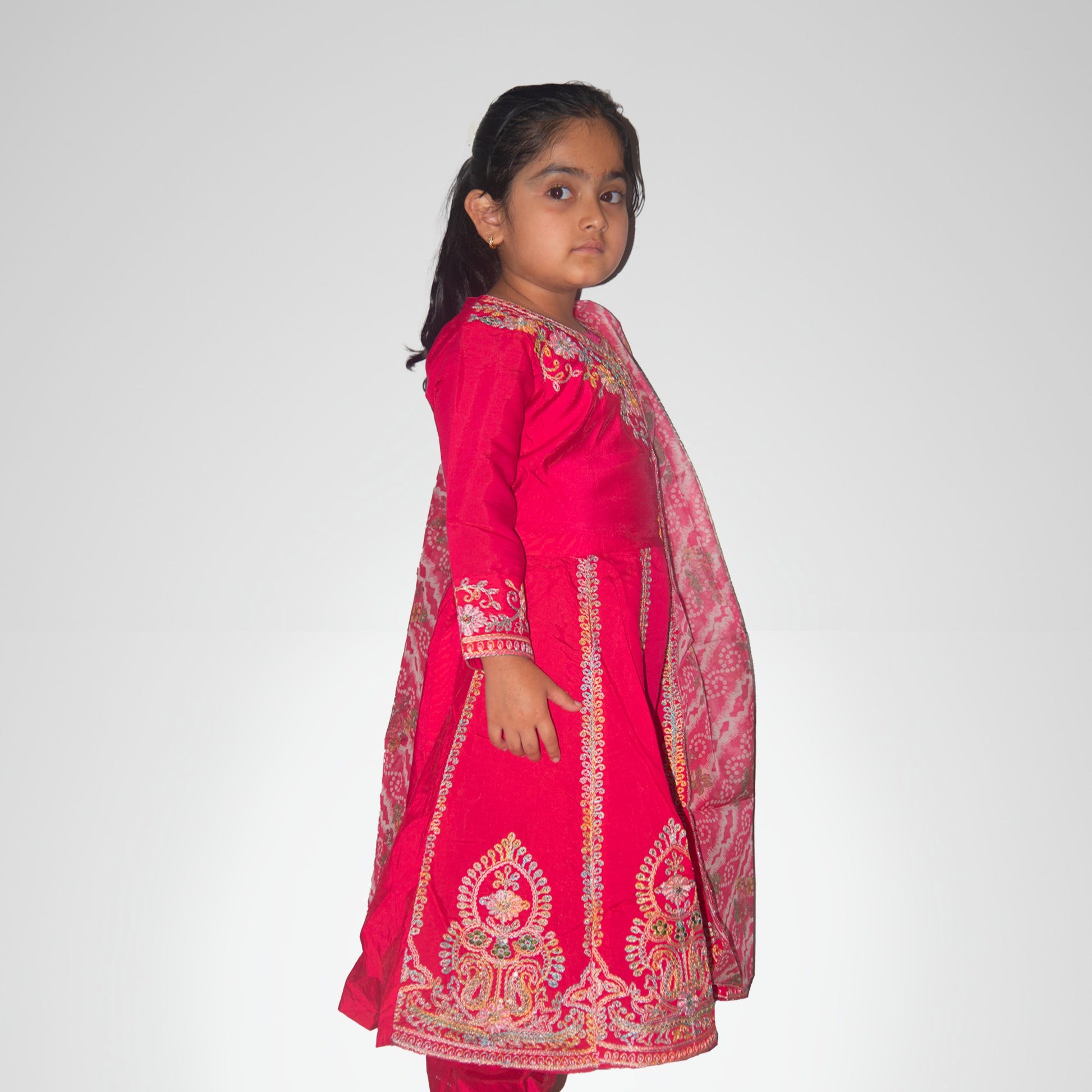 Young girl wearing a pink embroidered traditional outfit on a white background